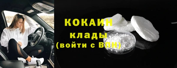 молекула духа Галич