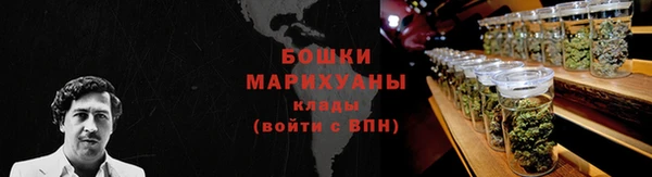 мескалин Ельня
