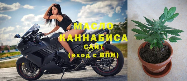мяу мяу мука Гатчина