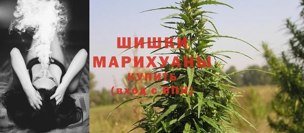 мескалин Ельня